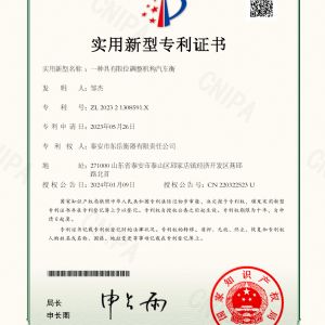 202321308591X一種具有限位調(diào)整機構(gòu)汽車衡